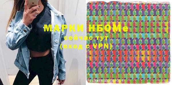прущий лед Новозыбков