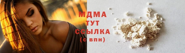 индика Новокубанск