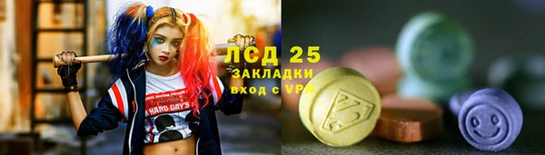 прущий лед Новозыбков