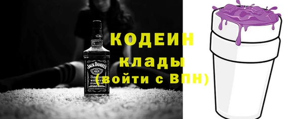 прущий лед Новозыбков