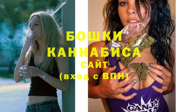 прущий лед Новозыбков