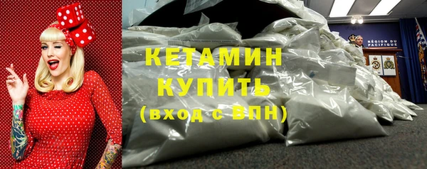 сатива Новодвинск