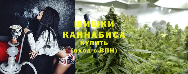 прущий лед Новозыбков