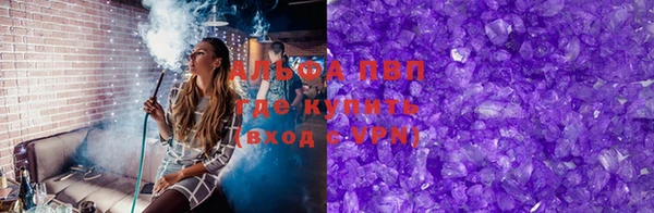 сатива Новодвинск