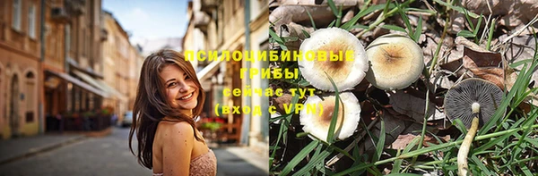 индика Новокубанск