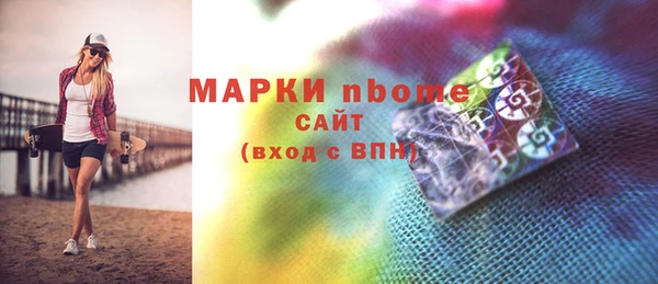 прущий лед Новозыбков