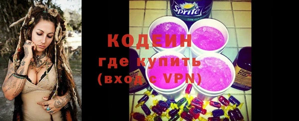 индика Новокубанск