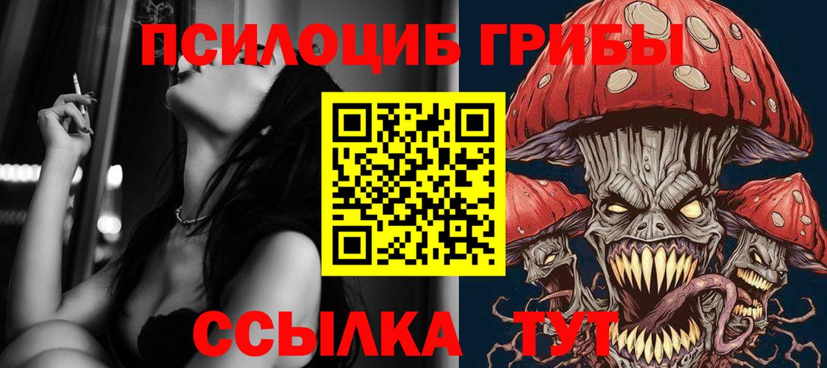 Псилоцибиновые грибы мицелий Топки